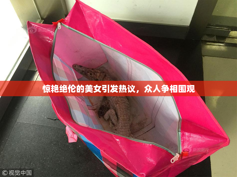 惊艳绝伦的美女引发热议，众人争相围观