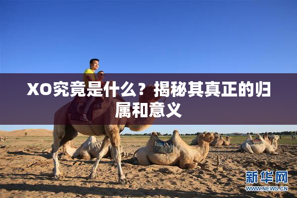 XO究竟是什么？揭秘其真正的归属和意义