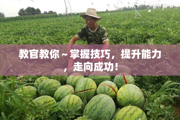 教官教你～掌握技巧，提升能力，走向成功！