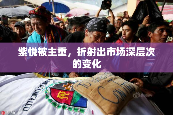 紫悦被主重，折射出市场深层次的变化