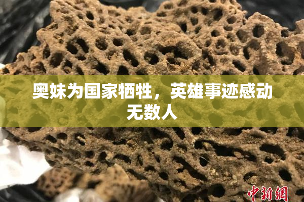 奥妹为国家牺牲，英雄事迹感动无数人