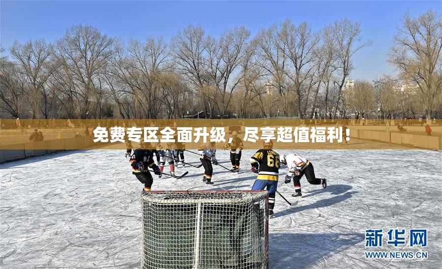 免费专区全面升级，尽享超值福利！