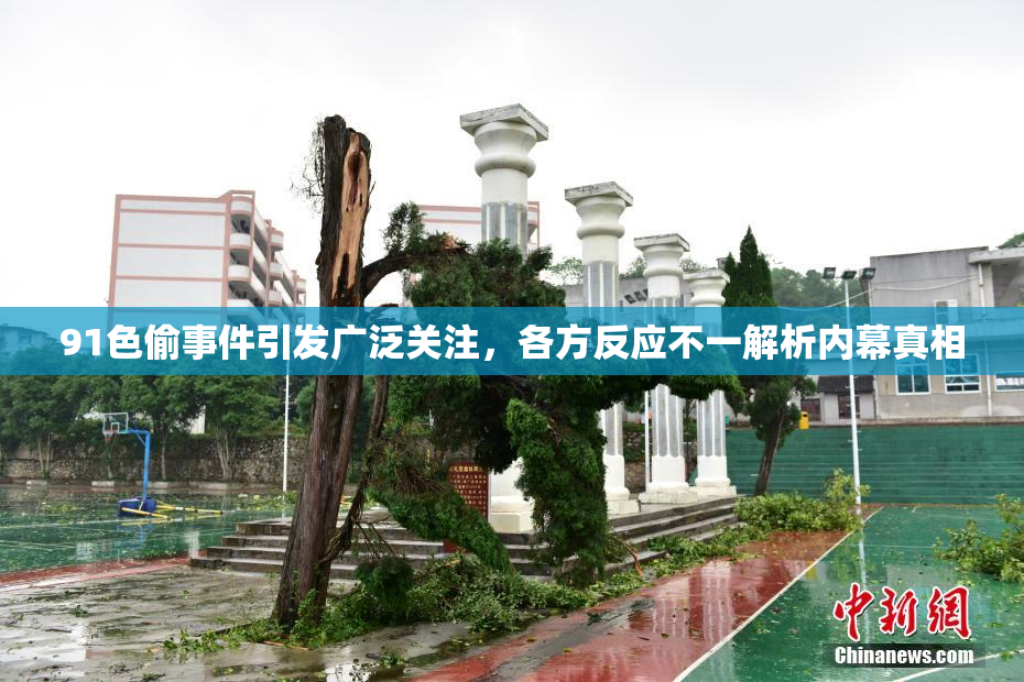 91色偷事件引发广泛关注，各方反应不一解析内幕真相