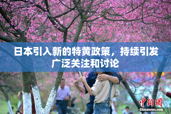 日本引入新的特黄政策，持续引发广泛关注和讨论