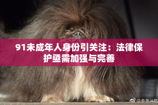 91未成年人身份引关注：法律保护亟需加强与完善