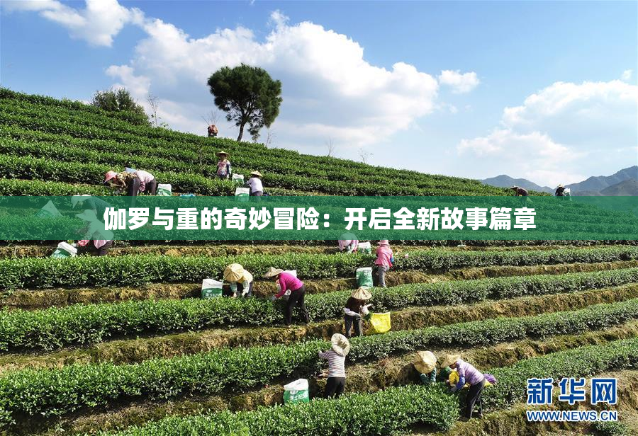 伽罗与重的奇妙冒险：开启全新故事篇章