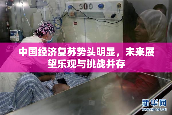 中国经济复苏势头明显，未来展望乐观与挑战并存