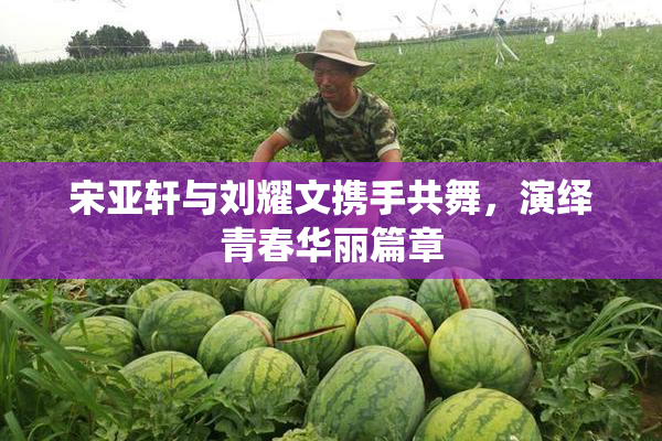 宋亚轩与刘耀文携手共舞，演绎青春华丽篇章