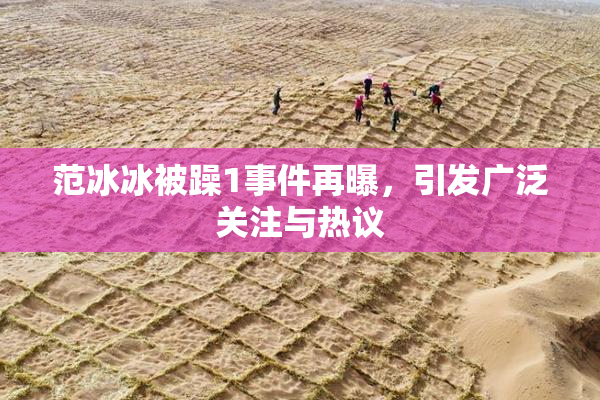 范冰冰被躁1事件再曝，引发广泛关注与热议