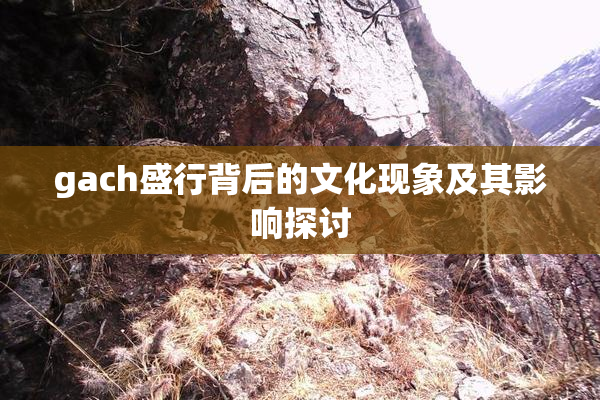 gach盛行背后的文化现象及其影响探讨