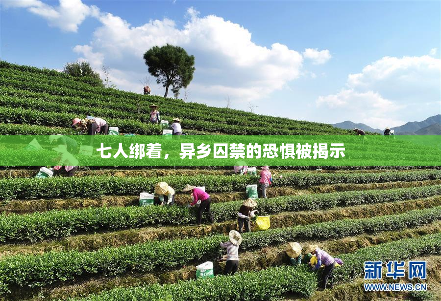 七人绑着，异乡囚禁的恐惧被揭示