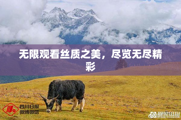无限观看丝质之美，尽览无尽精彩