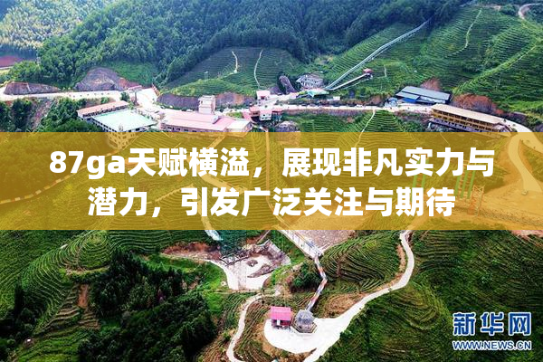 87ga天赋横溢，展现非凡实力与潜力，引发广泛关注与期待