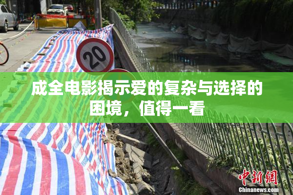 成全电影揭示爱的复杂与选择的困境，值得一看