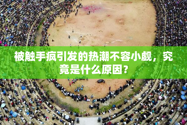 被触手疯引发的热潮不容小觑，究竟是什么原因？