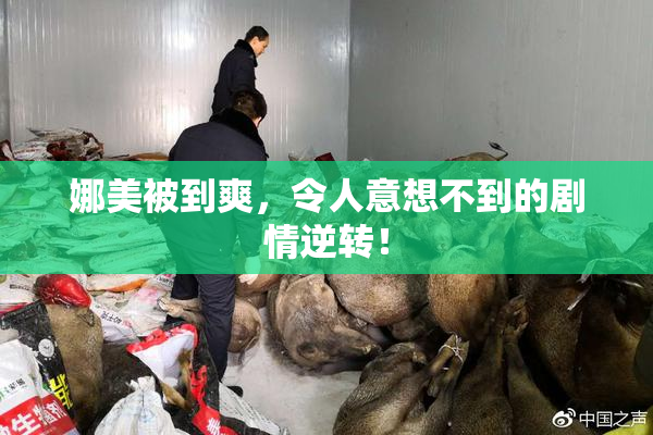 娜美被到爽，令人意想不到的剧情逆转！