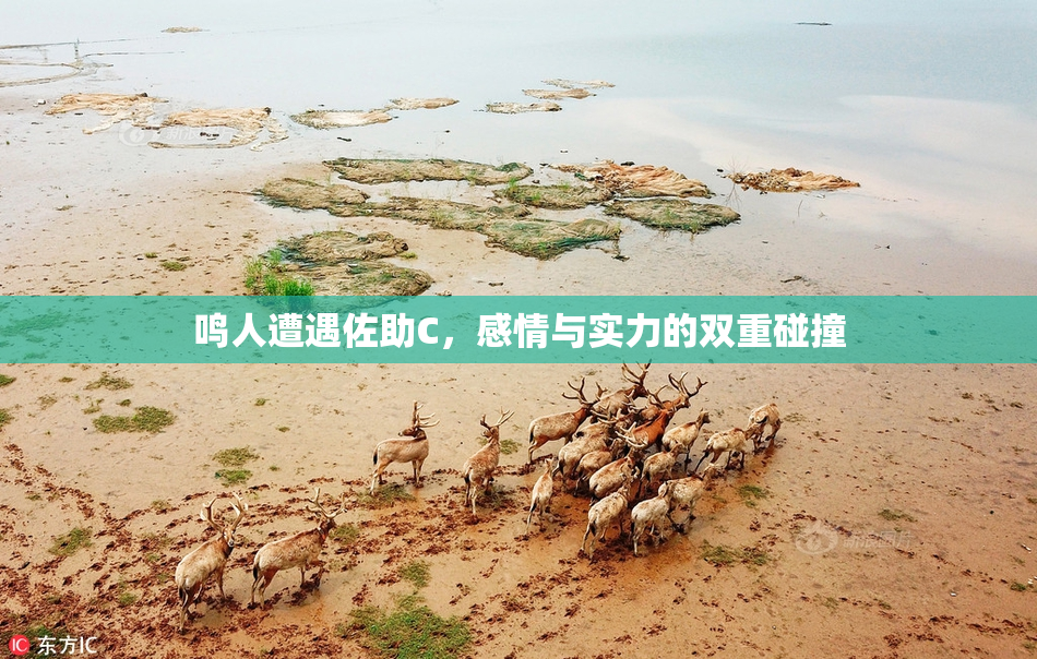 鸣人遭遇佐助C，感情与实力的双重碰撞