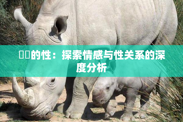 妺妺的性：探索情感与性关系的深度分析