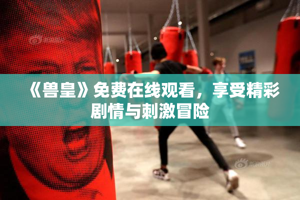 《兽皇》免费在线观看，享受精彩剧情与刺激冒险