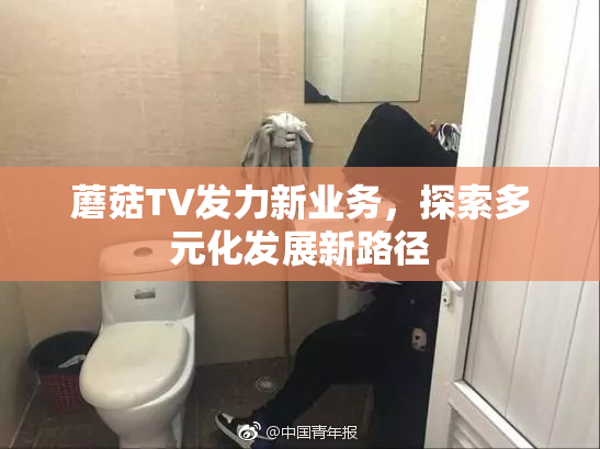 蘑菇TV发力新业务，探索多元化发展新路径