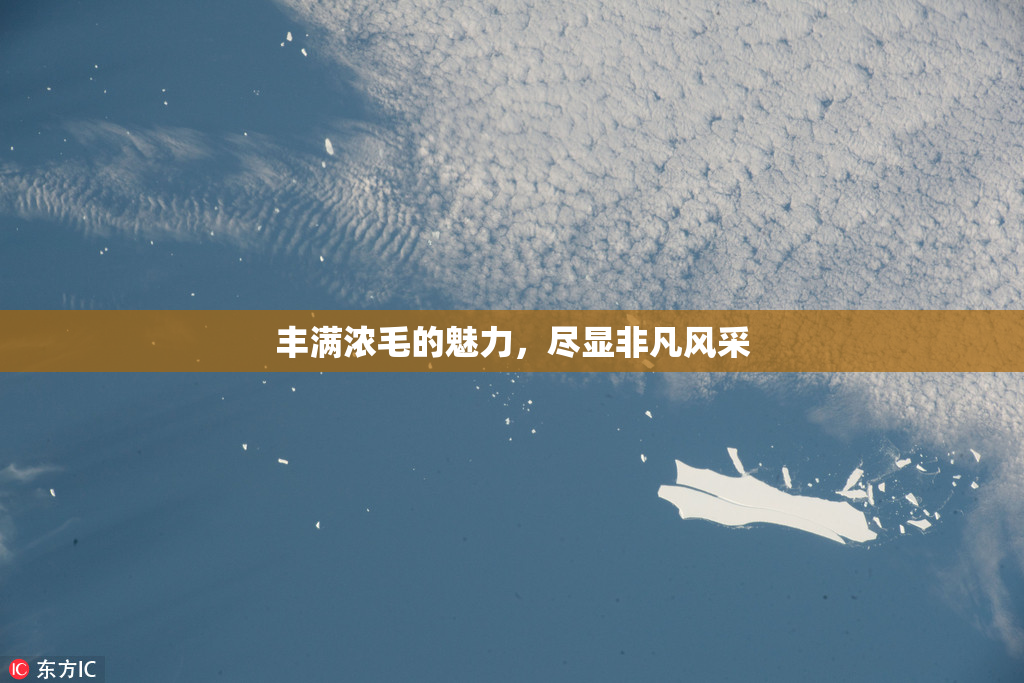 丰满浓毛的魅力，尽显非凡风采