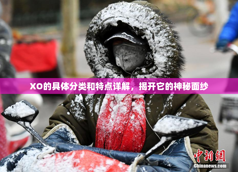 XO的具体分类和特点详解，揭开它的神秘面纱