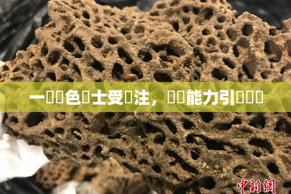 一級黃色護士受關注，專業能力引發熱議