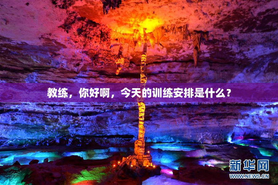 教练，你好啊，今天的训练安排是什么？