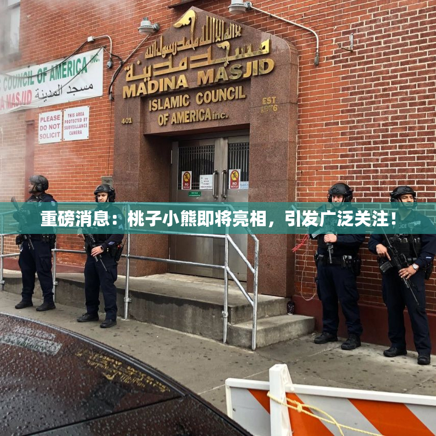 重磅消息：桃子小熊即将亮相，引发广泛关注！