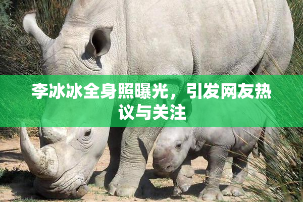 李冰冰全身照曝光，引发网友热议与关注