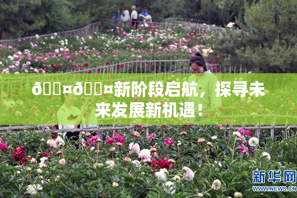 🐤🐤新阶段启航，探寻未来发展新机遇！