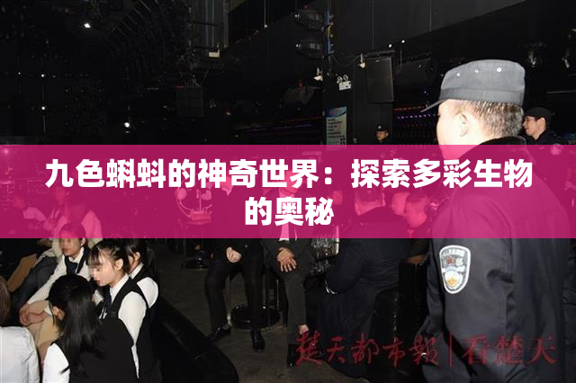 九色蝌蚪的神奇世界：探索多彩生物的奥秘
