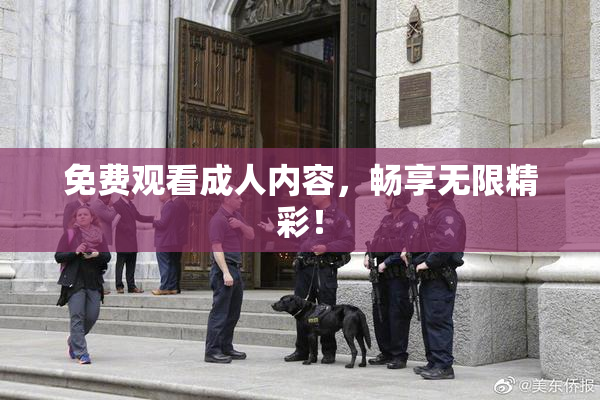 免费观看成人内容，畅享无限精彩！