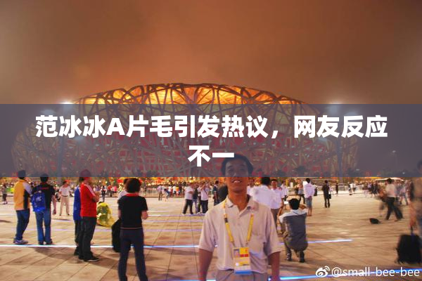 范冰冰A片毛引发热议，网友反应不一