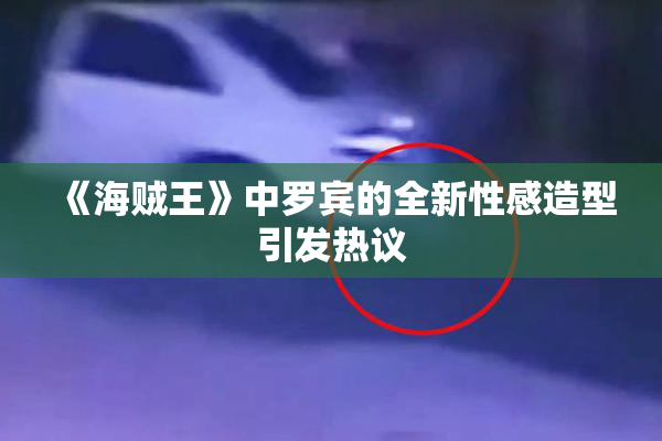《海贼王》中罗宾的全新性感造型引发热议