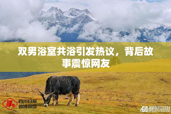 双男浴室共浴引发热议，背后故事震惊网友