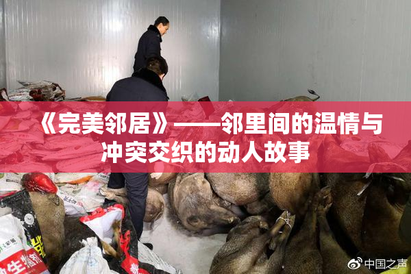 《完美邻居》——邻里间的温情与冲突交织的动人故事