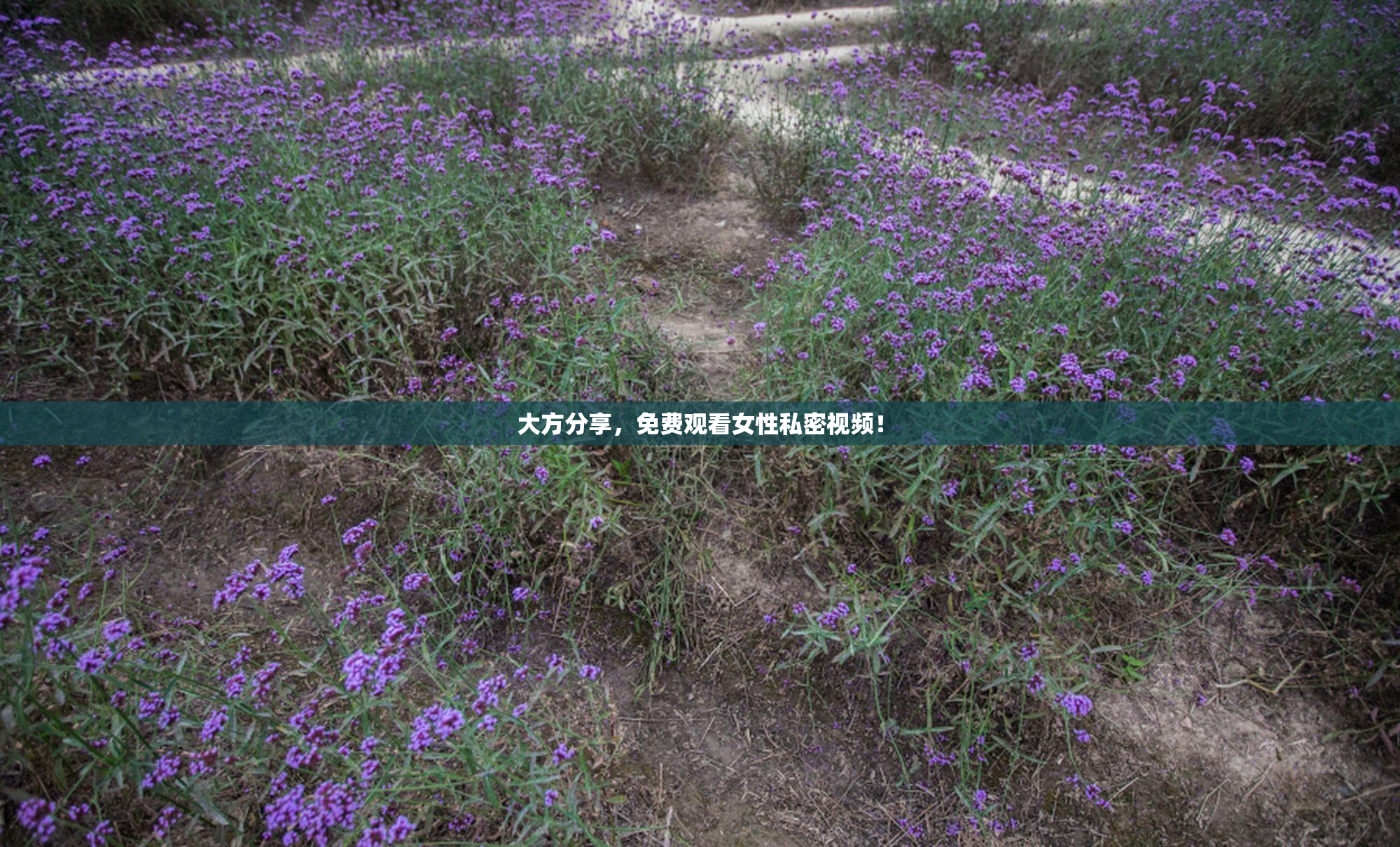 大方分享，免费观看女性私密视频！