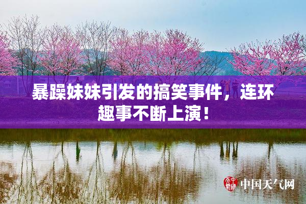 暴躁妹妹引发的搞笑事件，连环趣事不断上演！