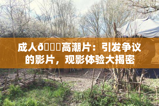 成人🔞高潮片：引发争议的影片，观影体验大揭密