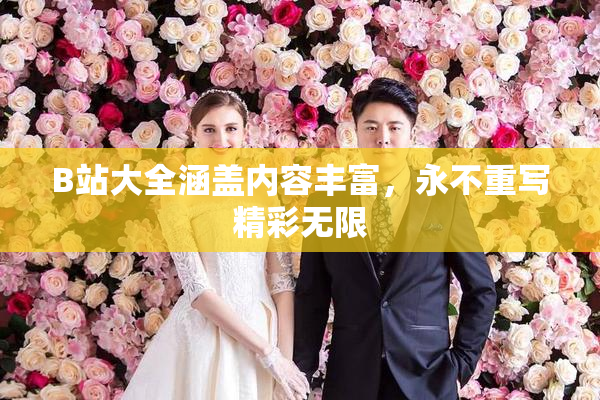 B站大全涵盖内容丰富，永不重写精彩无限