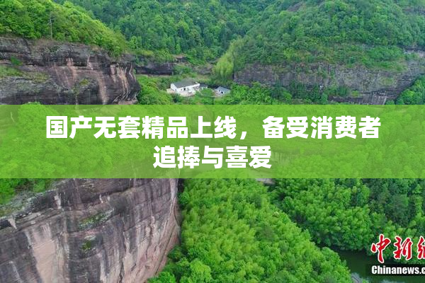 国产无套精品上线，备受消费者追捧与喜爱