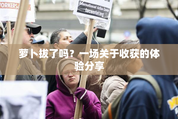 萝卜拔了吗？一场关于收获的体验分享