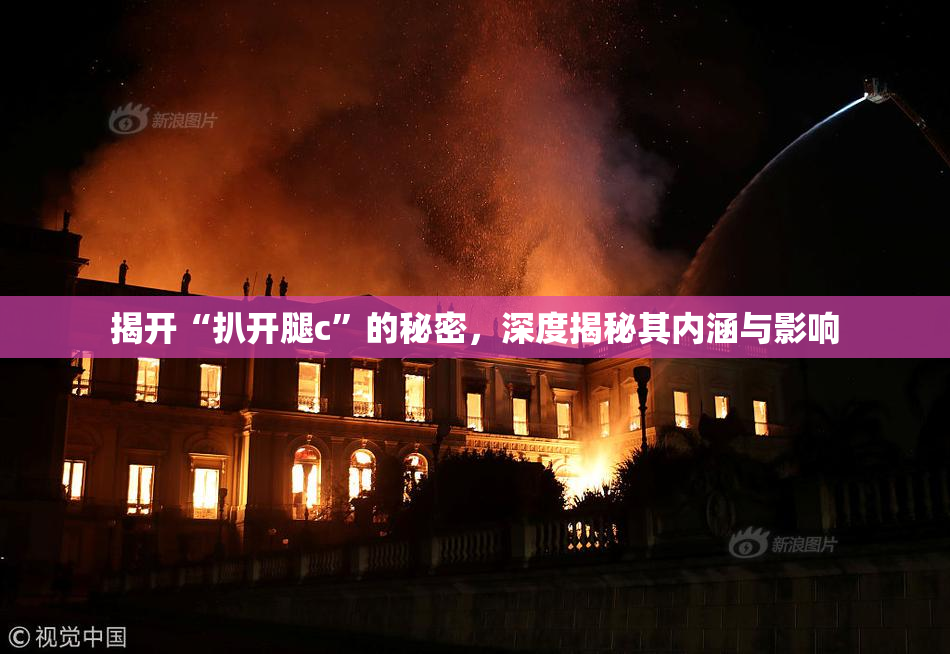 揭开“扒开腿c”的秘密，深度揭秘其内涵与影响