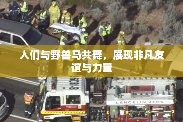 人们与野兽马共舞，展现非凡友谊与力量