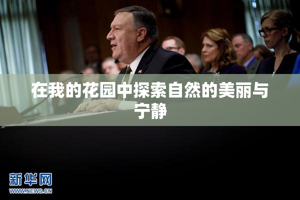 在我的花园中探索自然的美丽与宁静