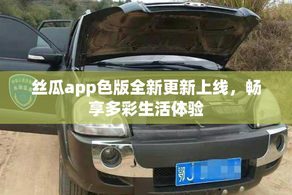 丝瓜app色版全新更新上线，畅享多彩生活体验