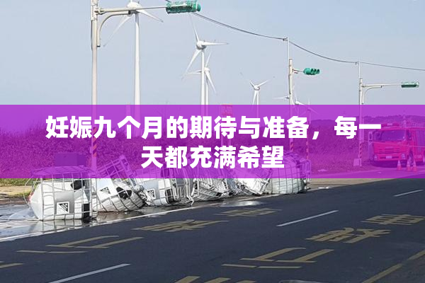 妊娠九个月的期待与准备，每一天都充满希望