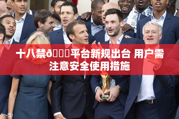 十八禁🔞平台新规出台 用户需注意安全使用措施