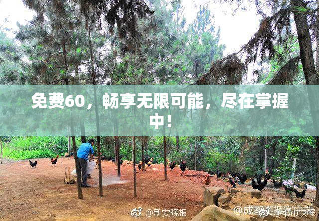 免费60，畅享无限可能，尽在掌握中！